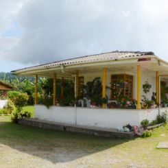 Colombia_Maytama_Maragogype_3
