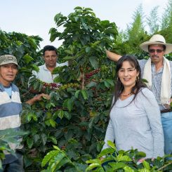 Colombia_Maytama_Maragogype_7