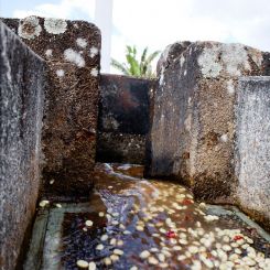 Ethiopia_Natural_Guji_3