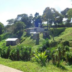 Nicaragua_Tuma_2