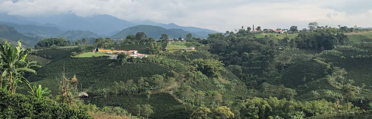 Colombia_Maytama_Castillo_Natural