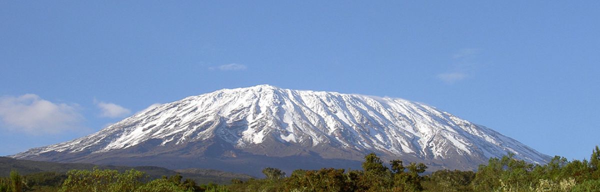 Tanzania_AA